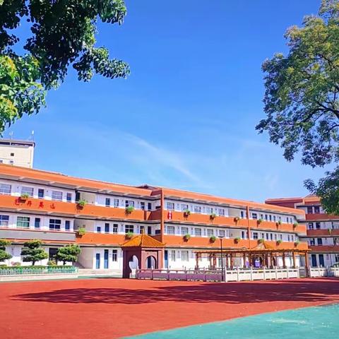 博雅剪艺社：裁云剪锦焕新篇·非遗新韵促发展