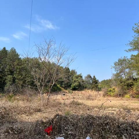 乡镇如何深化改革、扩大开放与创新发展“晋江经验”的实践