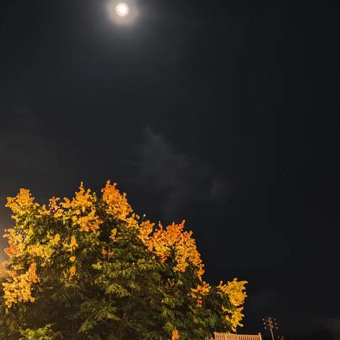 以作风建设之笔，绘就乡镇发展新画卷