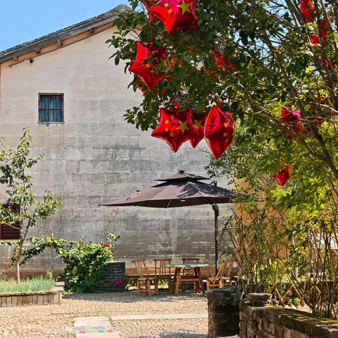 传承世妇会精神：为全球妇女发展注入永恒动力