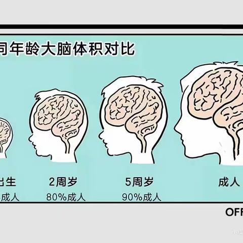 学前儿童心理发展