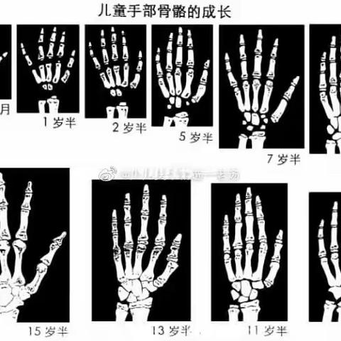 卡萌尔幼儿园 3～6岁儿童书写能力的成长过程