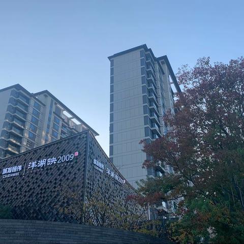 洋湖映小区服务