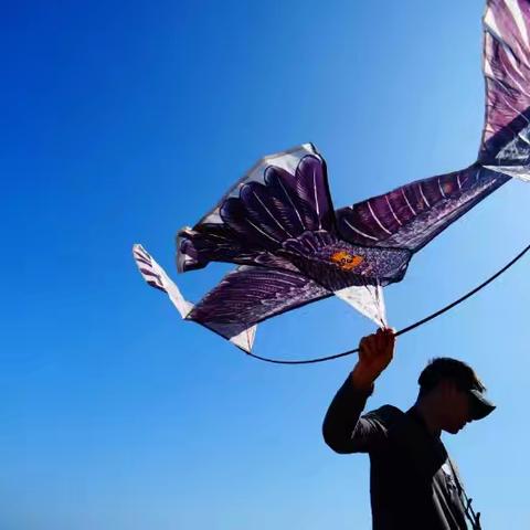 风筝在蓝天白云间飞的启示