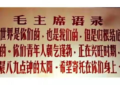领袖思想与当代青年价值观的融合：传承与实践的时代对话