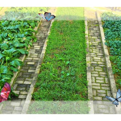 原汁原味吃在农村