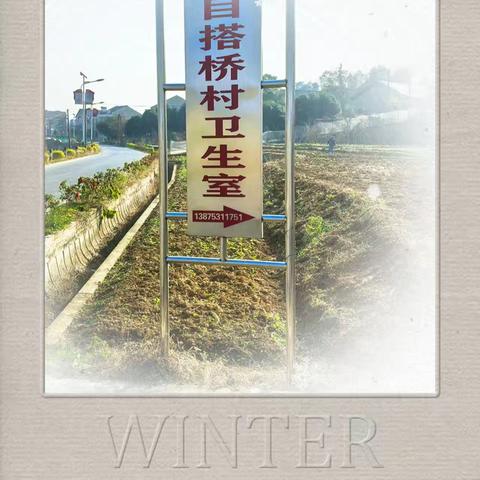 传承延安精神 赓续红色文脉——益阳市延安精神研究会“研学与健康”主题春游活动纪实