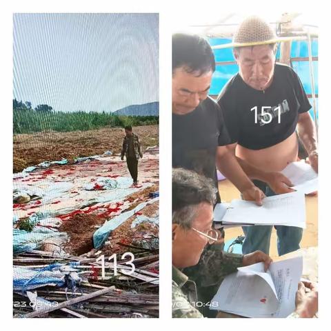 《乡村振兴年》峨港村委会调查图斑