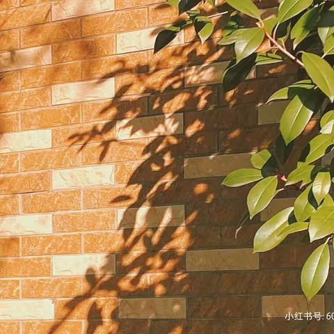 冬日暖阳，品人生——丹青工作室教研活动