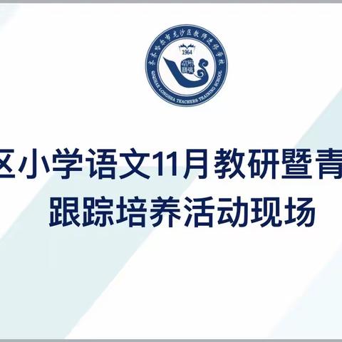 初心在方寸，咫尺显匠心——龙沙区小学青年教师跟踪培养活动