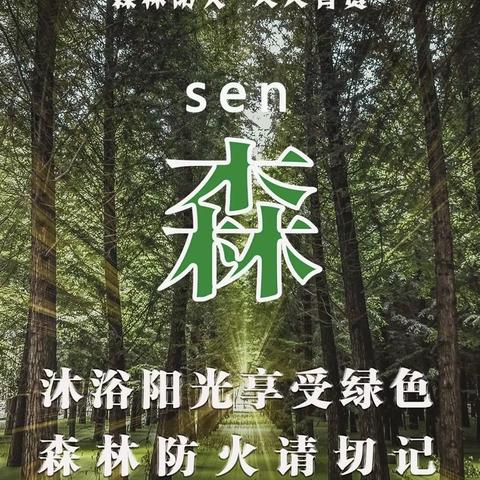 钢城区森林防火知识宣传