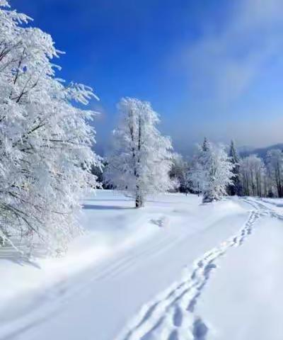 扫雪除冰筑安全，师生携手暖人心 ——黑山科中学清雪活动纪实