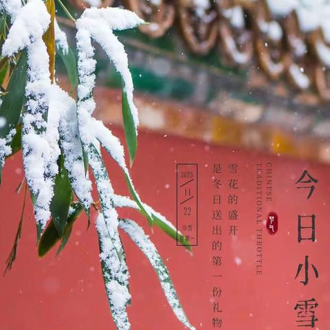 翡翠天际幼儿园小四班节气活动—《小雪》