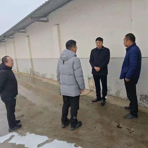 临潼区农业农村局督导检查畜禽养殖场应对雨雪天气安全生产工作