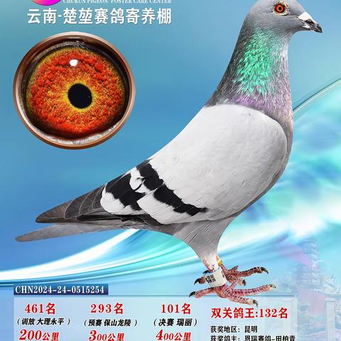 楚堃寄养棚101-200名照片