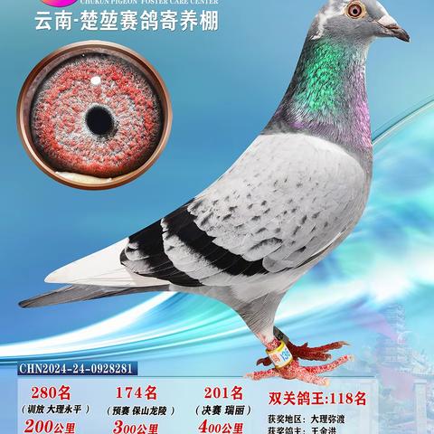 楚堃寄养棚201名后照片