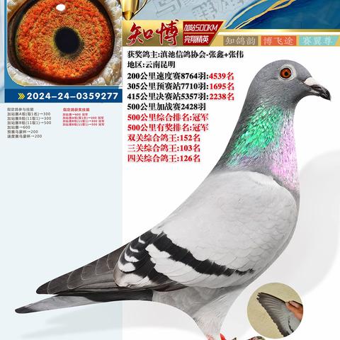 知博500公里家站赛1-125名照片