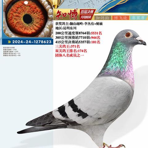 云南知博赛鸽中心决赛101-200名照片