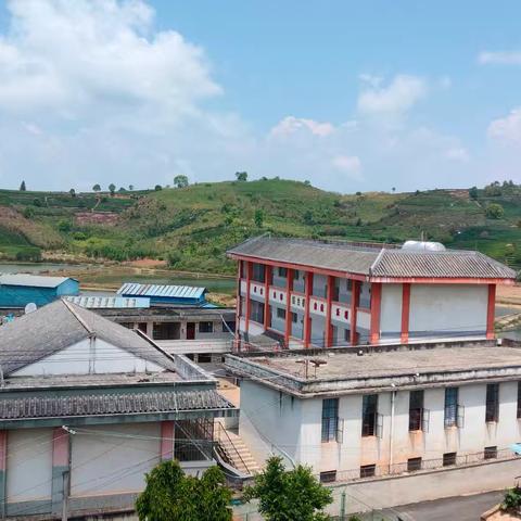 普洱市思茅区倚象镇竜竜小学学校食堂大宗食品采购公示