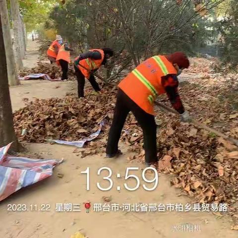 城管局开展主要道路绿化维护和林下杂物清理专项行动