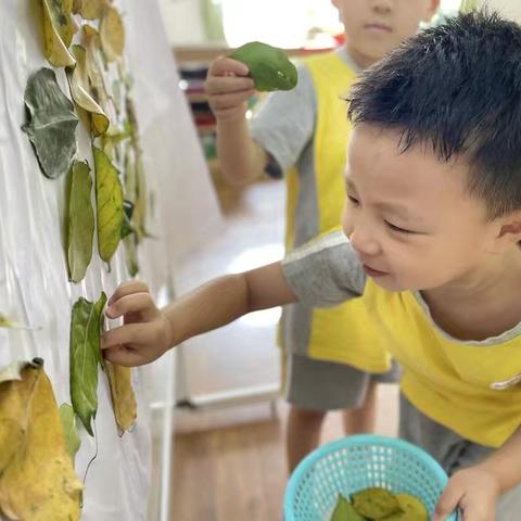 洪进宇家长致樱桃班全体老师感谢信
