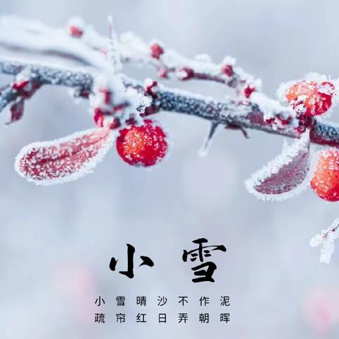 小雪至 万物藏——丰城市剑光卫东幼儿园小雪节气活动
