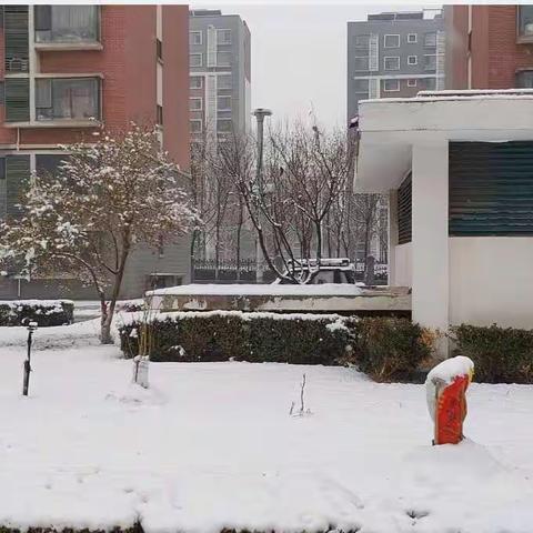 滨海花苑扫雪进行时