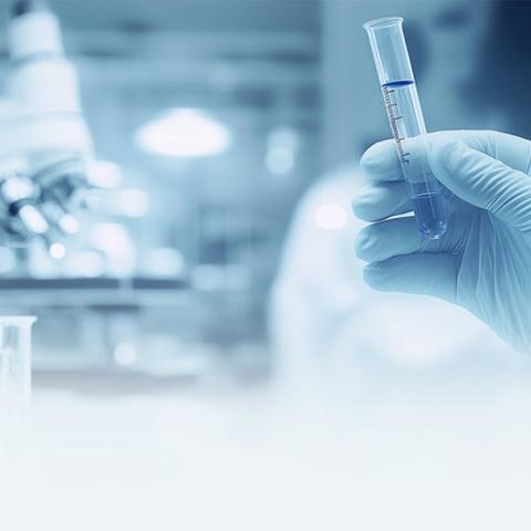 食堂病媒生物防治工作指南