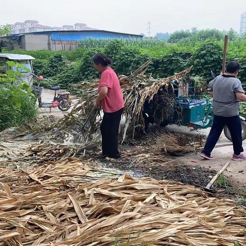 北关区彰北人居环境提升