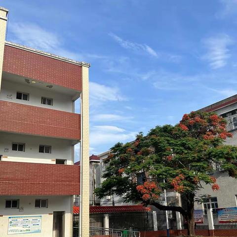 大埔小学招生简章