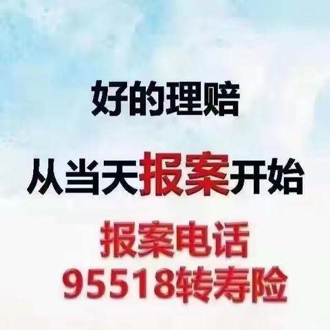 平凉中支理赔周报