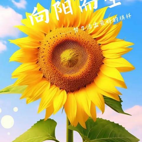 携手深耕教学路 向阳笃行提质量 ——大雁镇第一小学召开教学质量分析会