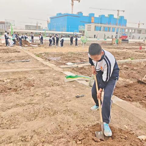 校园美化有担当