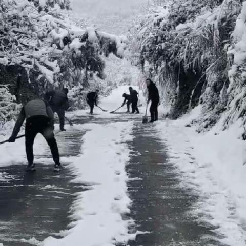 凤岭街道开展“清雪铲冰 寒冬 送暖”行动