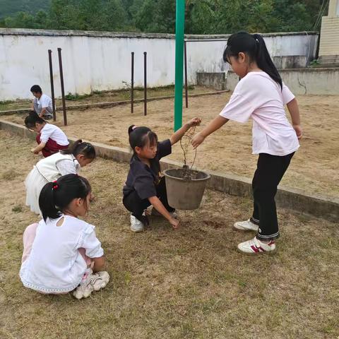 以劳树德，以劳育美——杨岐乡石源小学开展劳动教育实践活动