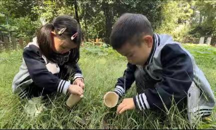 伊顿林溪幼儿园—寒露节气活动 深秋的秘密，露珠的轻吟