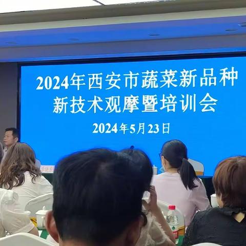 周至县园艺蚕桑站参加2024年西安市春季蔬菜新品种新技术观摩暨培训会议