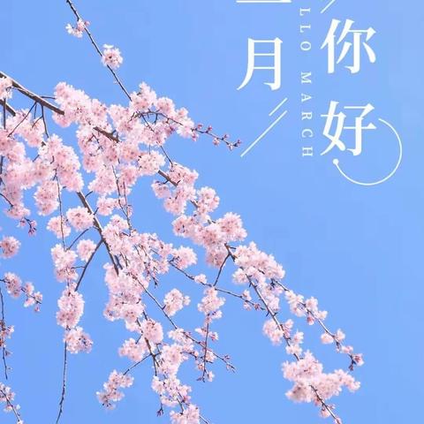 温泉城3月份服务简报