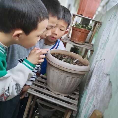 精英第三幼儿园大一班——    一周精彩回顾🍒🍒