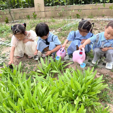 谯湘嘉苑第十五周——精彩回顾