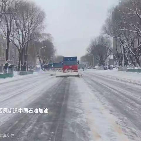 【明日环境】凝心聚力 鏖战冰雪