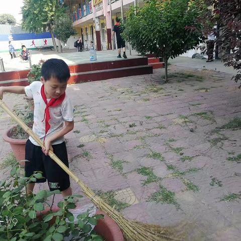 华夏小学巩卫简报