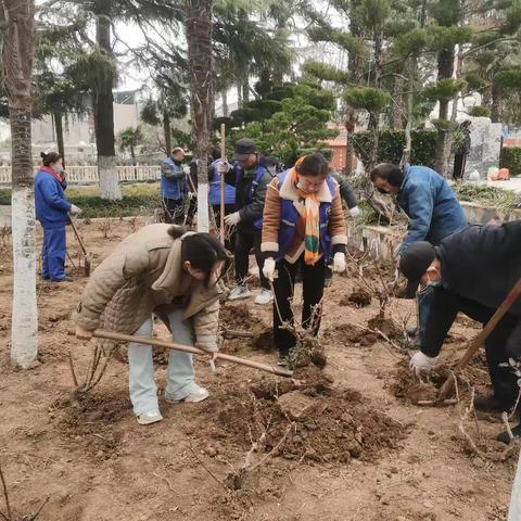 人民公园补"春妆"焕新颜， 打造缤纷花园新景观