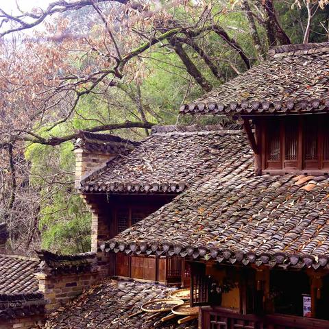 婺源与黄山游览记录