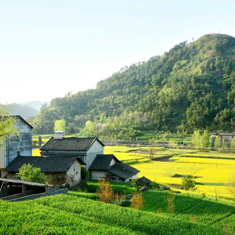 守住钱袋子 · 护好幸福家