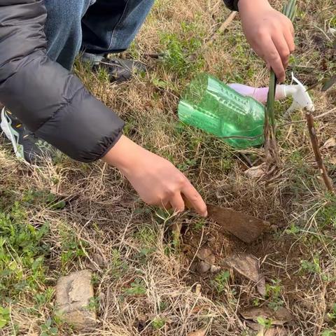 家务劳动.高宸希.