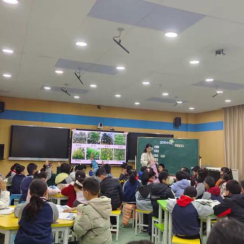 品析关键句，悟结构练读写——钟家村小学三年级语文组教研活动