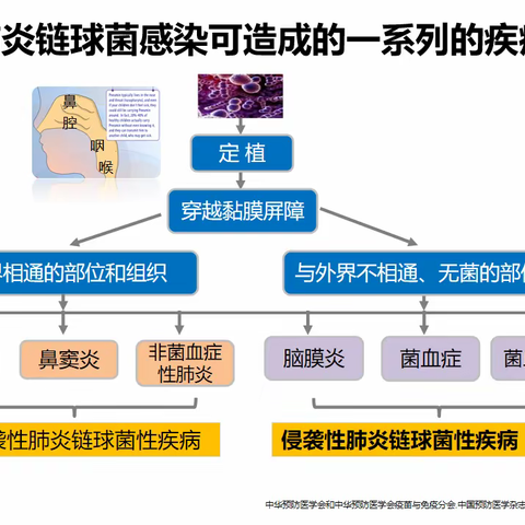 警惕！肺炎支原体还没走，又出现混合感染