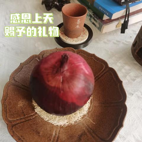 洋葱的独白