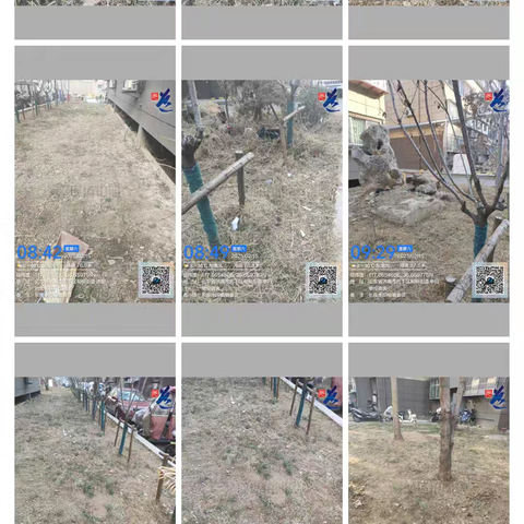 瑞尔物业：26号院的焕新魔法